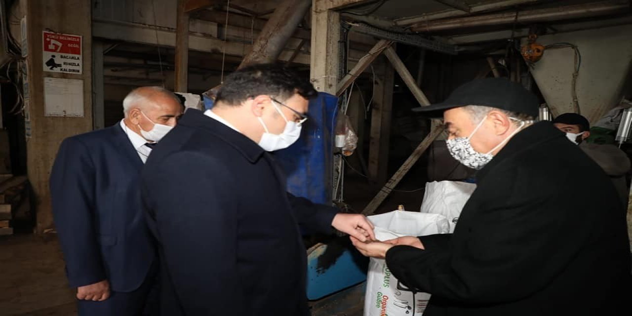 Tavuk Dışkısı Elektrik Enerjisine Dönüşüyor