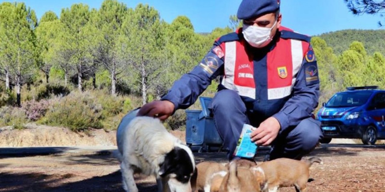 Jandarma’nın Hayvan Hassasiyeti