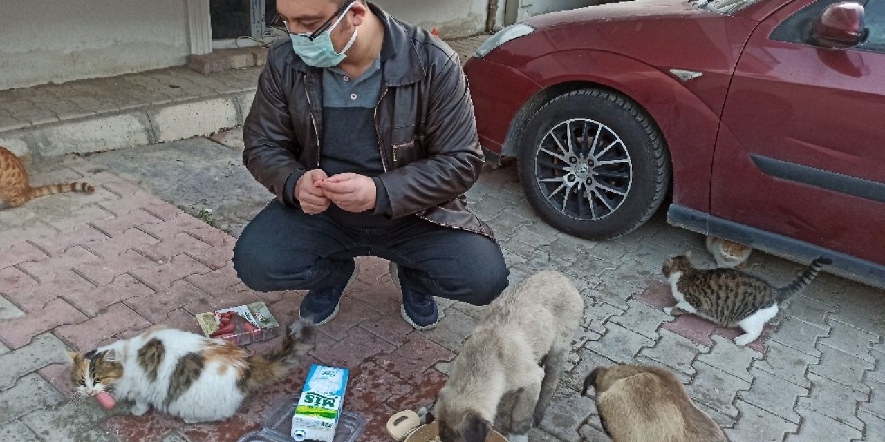 Sokak Hayvanları İçin Harekete Geçti, Mahalle Sakinleri Onu Yalnız Bırakmadı