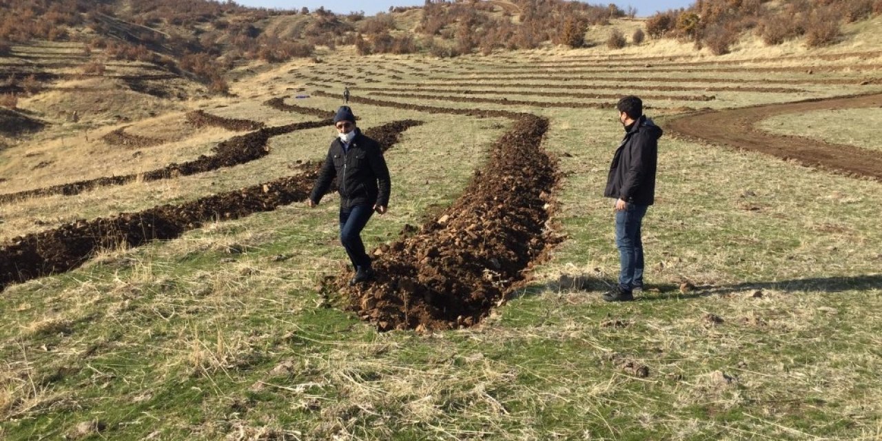 Bingöl’de 210 Dönümlük Alana Bal Ormanı Kuruldu