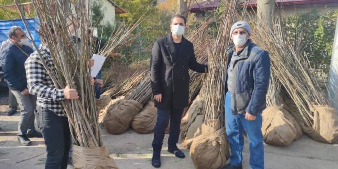 Tunceli’de  Köylere Ceviz Ve Badem Fidanı Dağıtımı