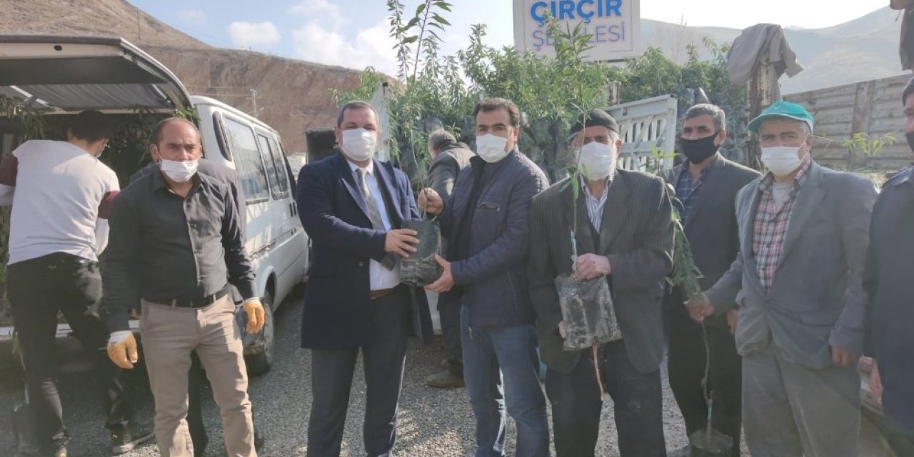 Yüzde 50 Hibe Destekli 27 Bin Fidan Çiftçilere Dağıtıldı