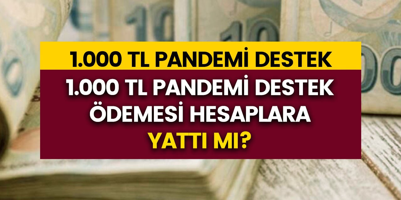 Betssen Destek Ne Zaman Açılıyor