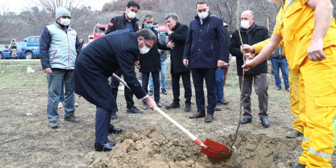 Tokat’ta 80 Bin Ceviz Fidanı Toprakla Buluşturuldu