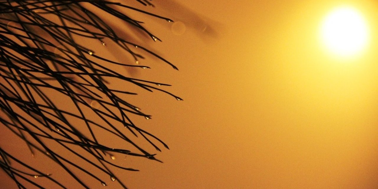 Manisa’da Etkili Olan Sis Sürücülere Zor Anlar Yaşattı