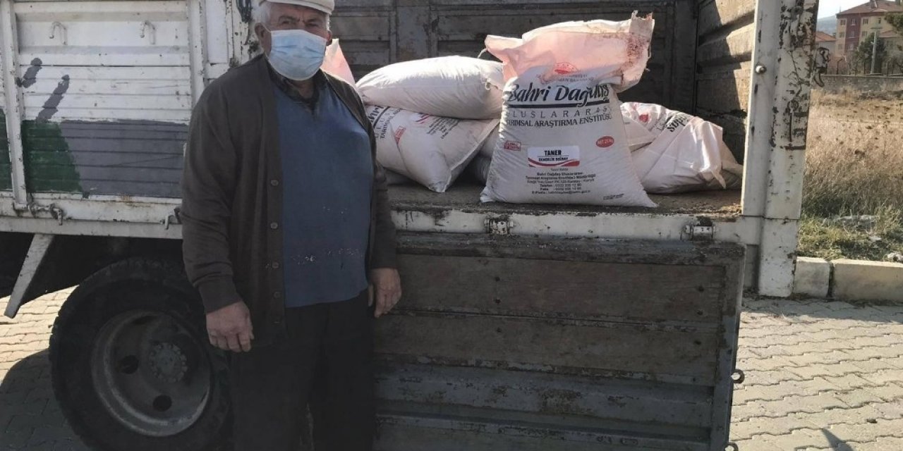 Altıntaş’ta Alternatif Buğday Üretimi