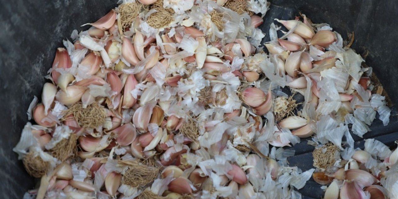 Büyükçekmece’de Tarım Seferberliği Sürüyor