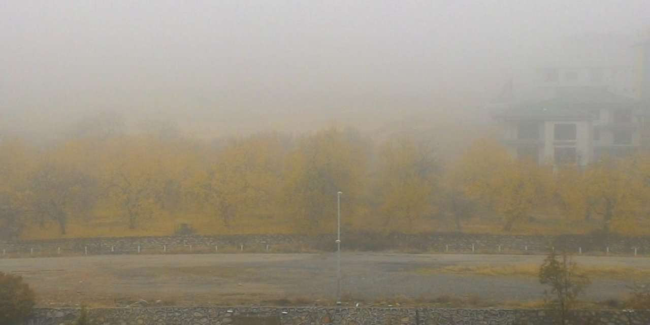 Malatya’da Sis Etkili Oldu