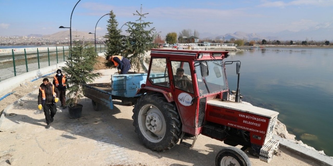 İskele Sahil Kordonunda Peyzaj Çalışması