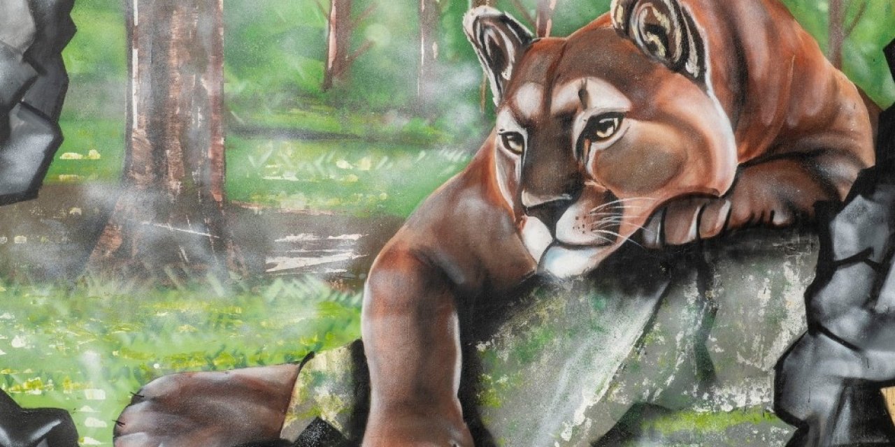 Doğal Yaşam Parkının Duvarlarına Renk Geldi