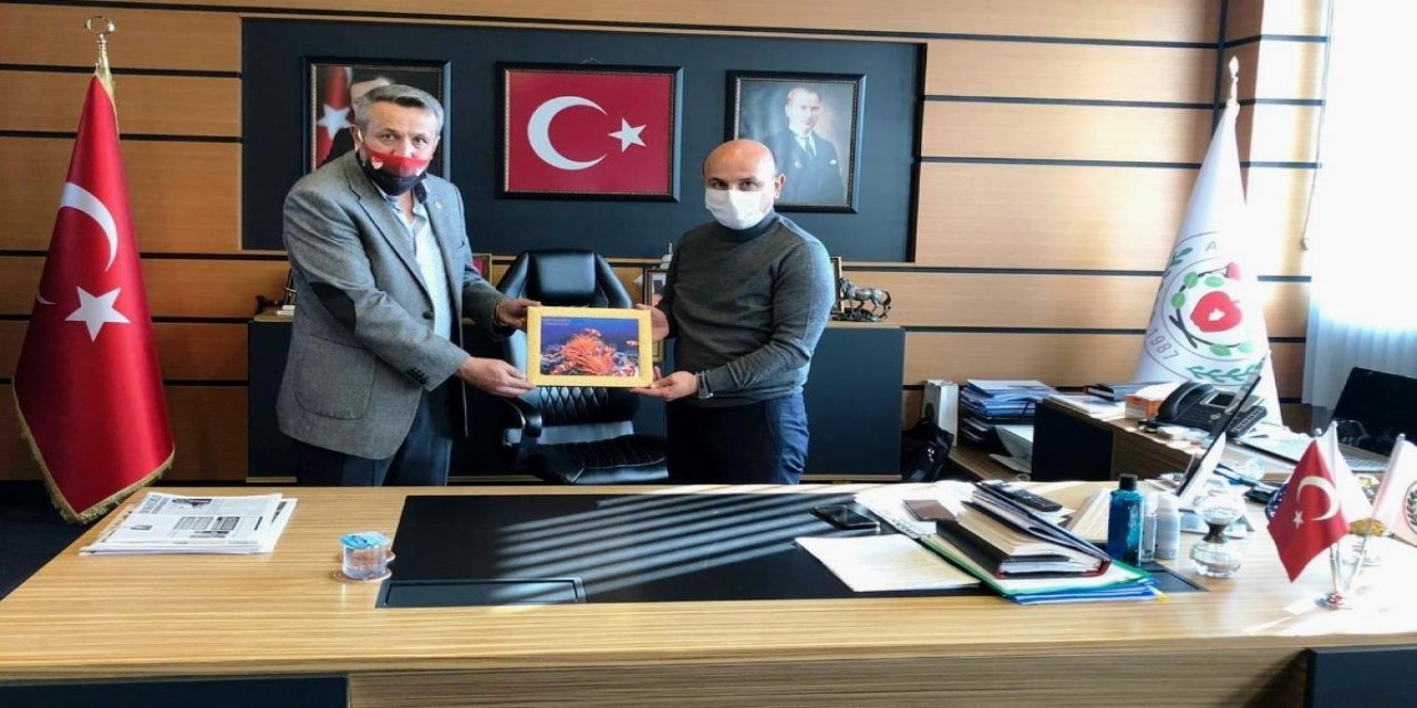 Altınova Su Sporlarında Da Gözde Olacak