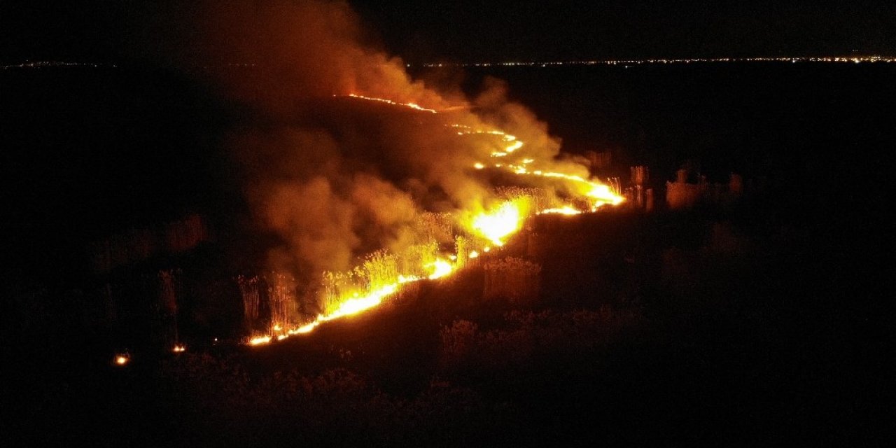Milyon Dolarlık Kamışların Neden Yandığı Araştırılıyor