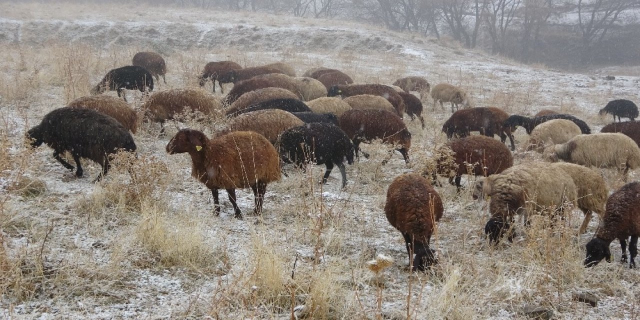 Muş’ta Kar Yağışı