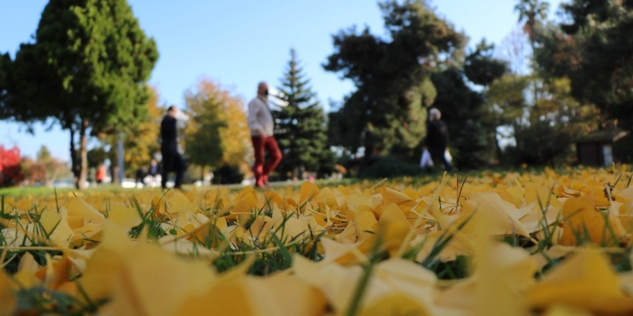 Samsun’da Yaprak Dökümü