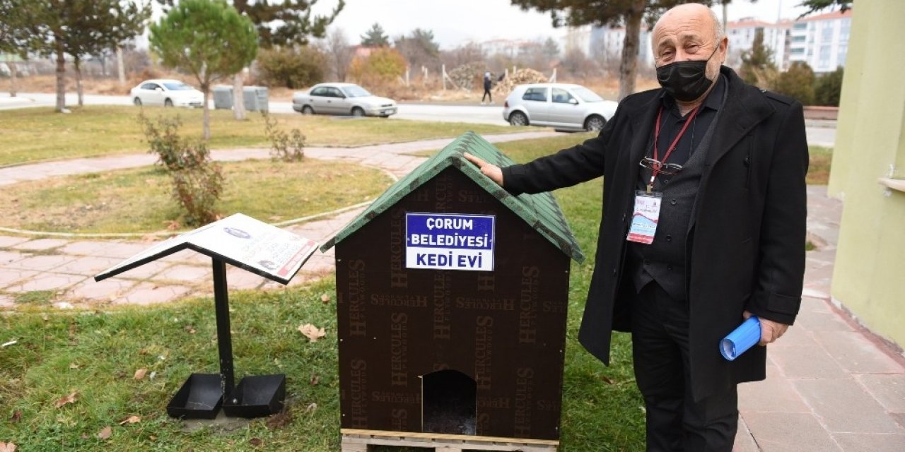 Başkan Aşğın Sokağın Hayvanlarına Sahip Çıktı