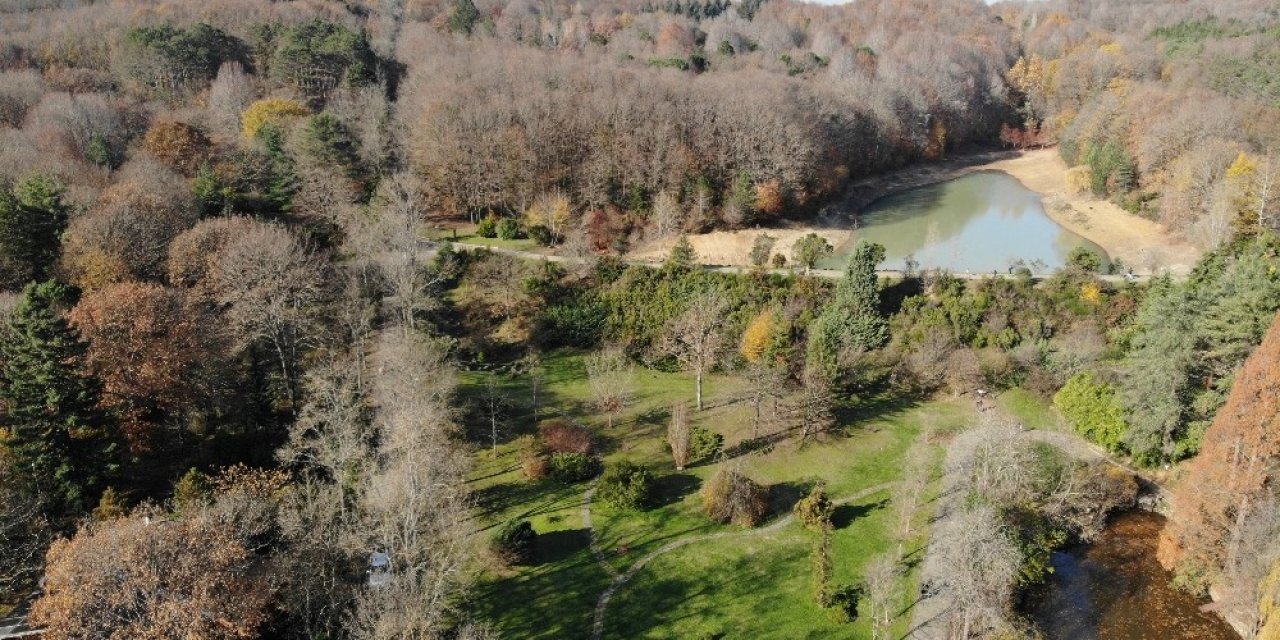 Atatürk Arboretumu’nda Sonbahar Manzarası