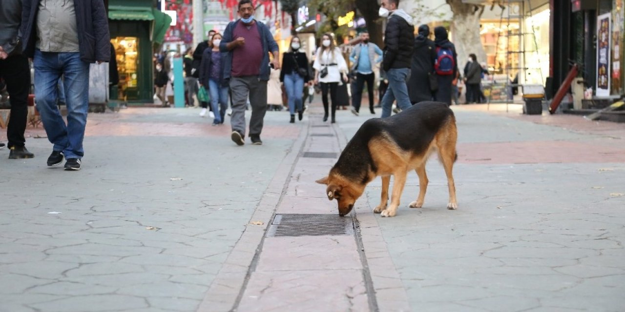 Kocaeli’de Merkezinde İki Caddeye Girişlere Sınırlama Getirildi