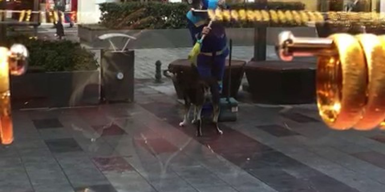 Arnavutköy’de Yürek Isıtan Görüntü