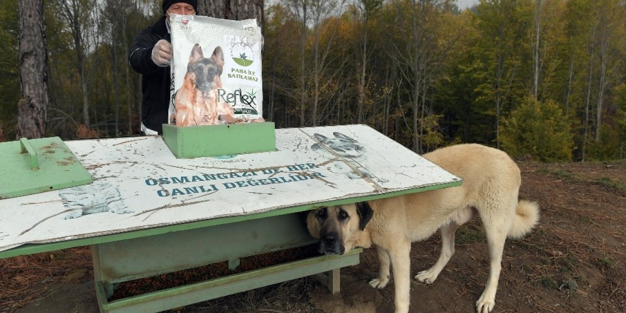 Korona Virüse Karşı Üstün Mücadele