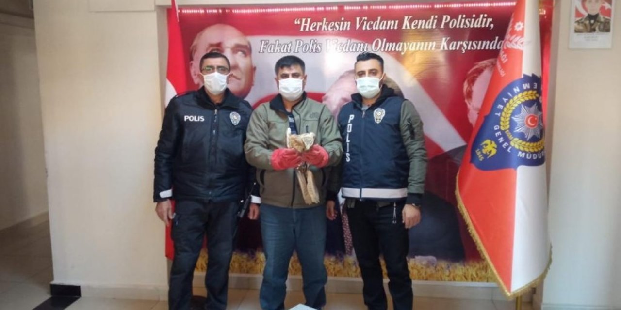 Mardin’de Yaralı Şahin Koruma Altına Alındı