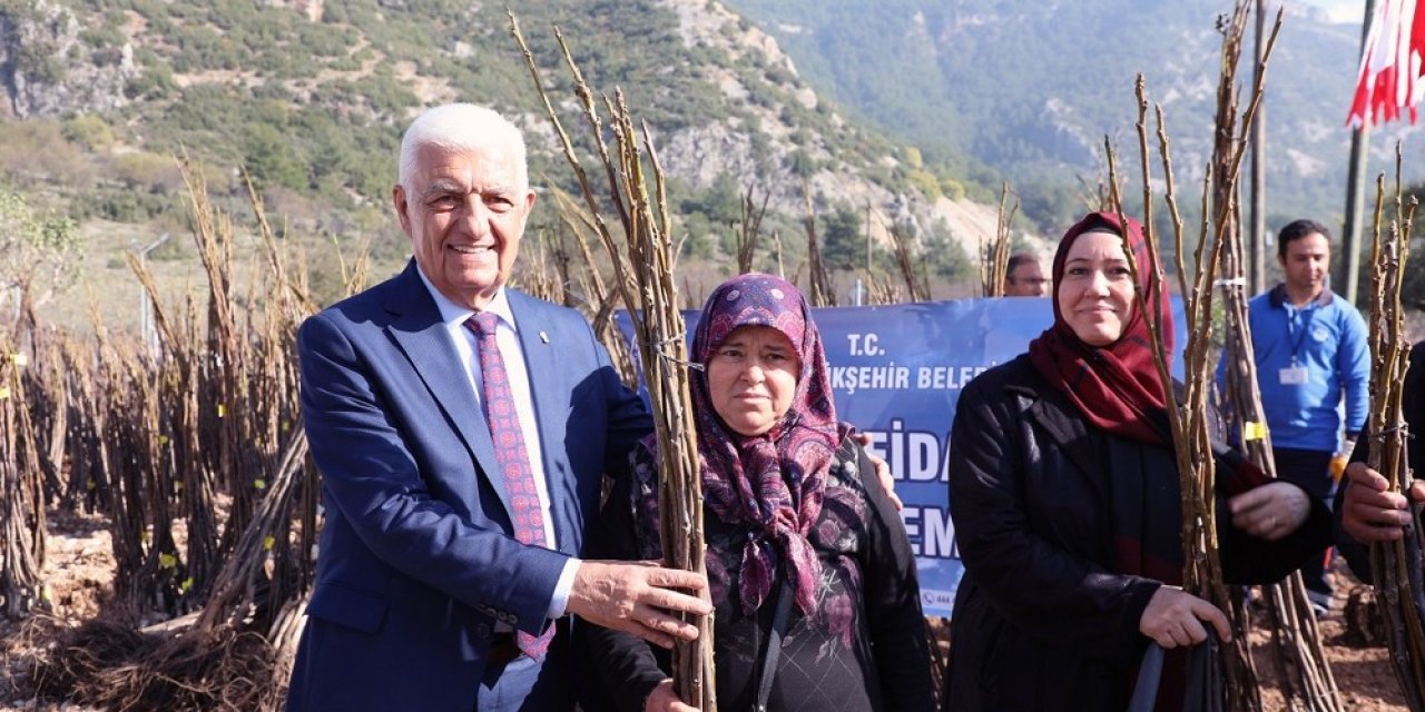 Büyükşehir’den Ceviz Fidanı Dağıtımı
