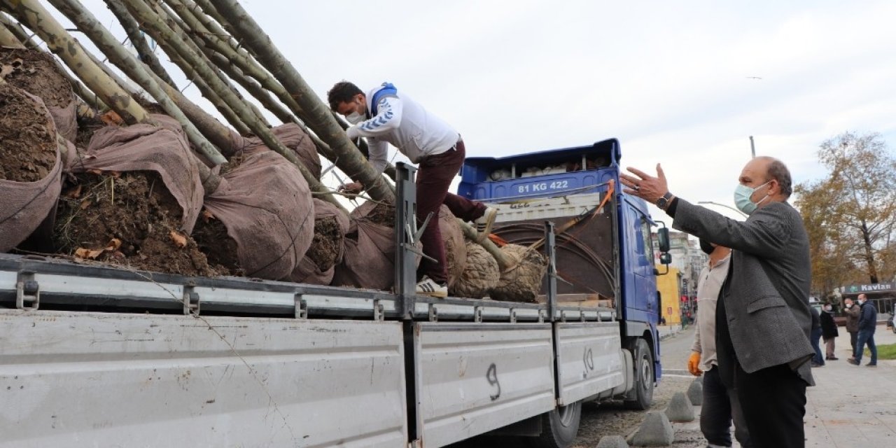 Akçakoca Belediyesi Daha Yeşil Bir İlçe İçin Çalışıyor
