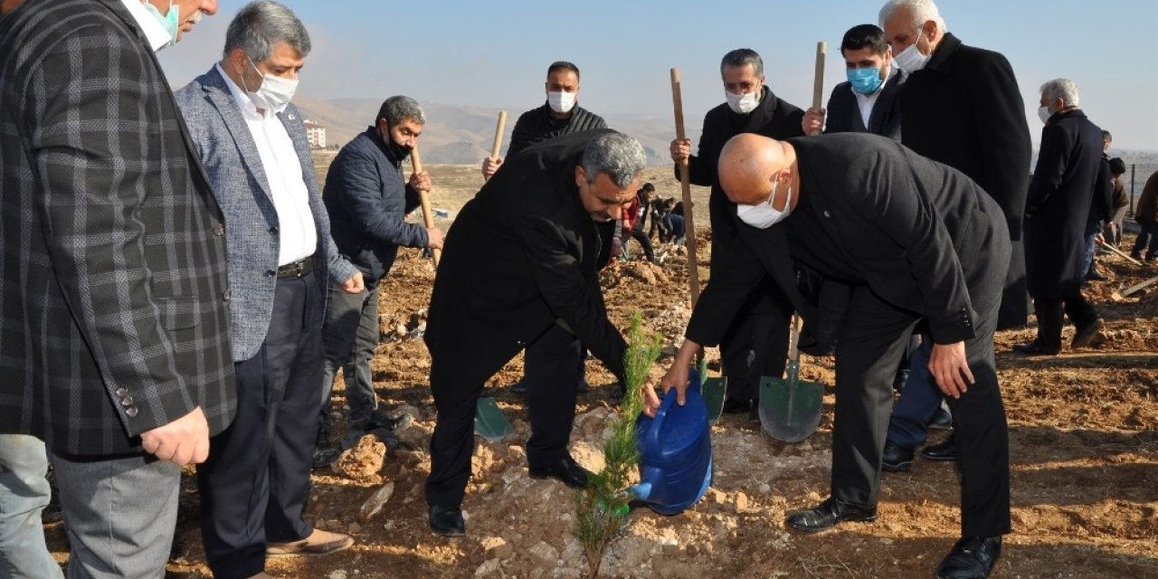 Batü’de 10 Bin Fidanlık Şehit Yasin Börü Ormanı Oluşturuldu