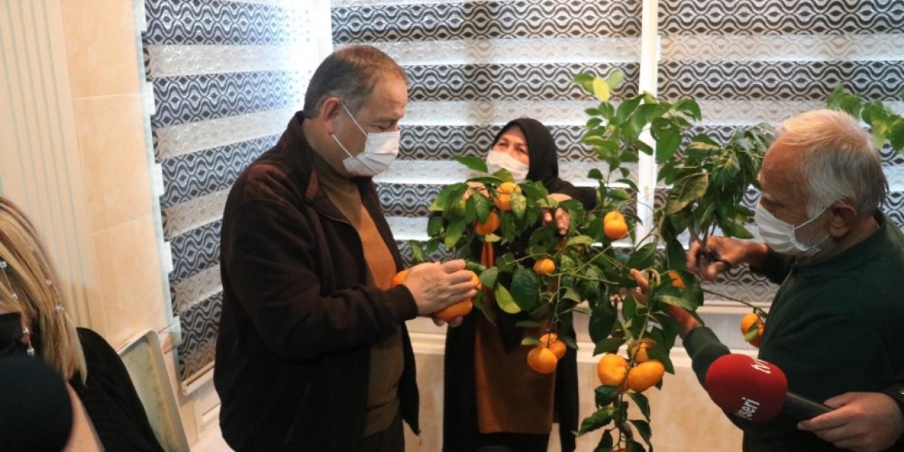 Balkonda Yetiştirdi, Özhaseki’ye İkram Etti