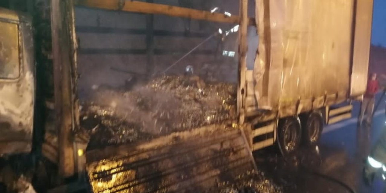 Kuzey Marmara Otoyolunda Yanan Kamyonet Hurdaya Döndü