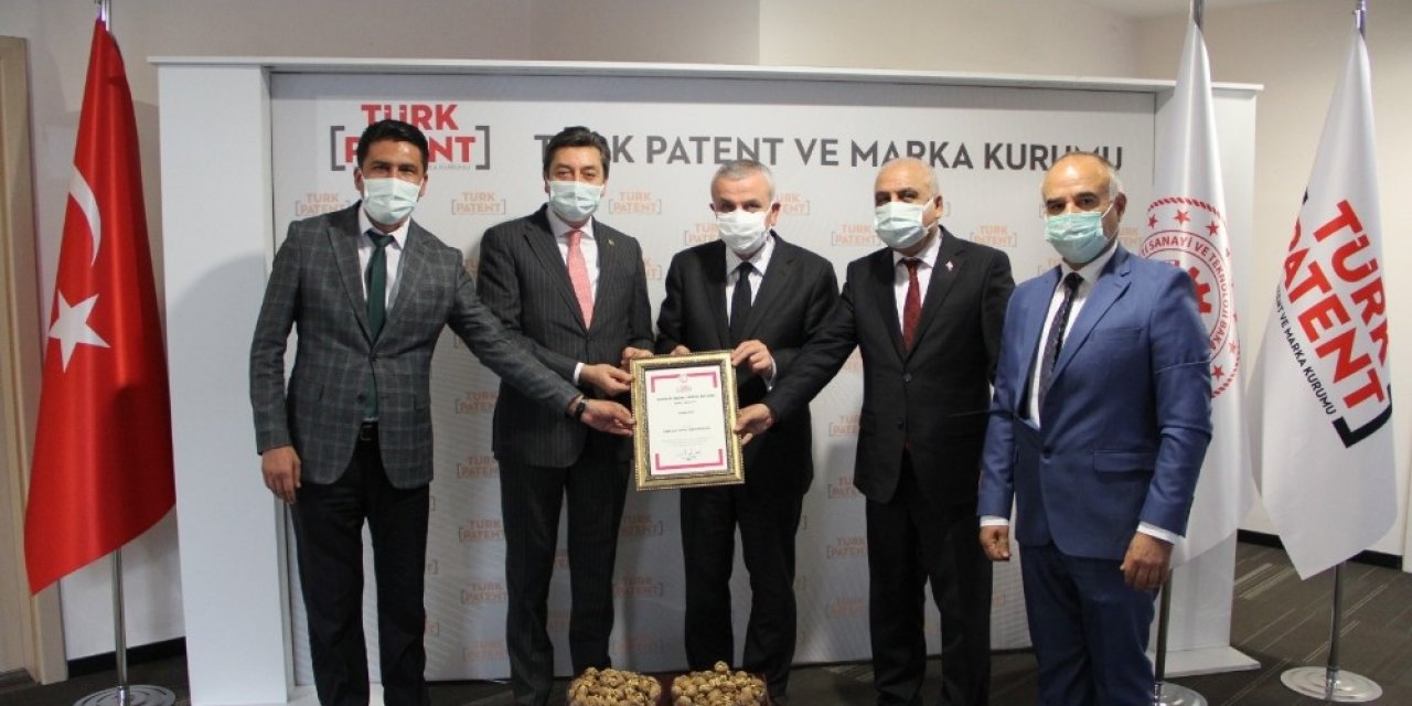Kaman Cevizine, Coğrafi İşaret Alındı