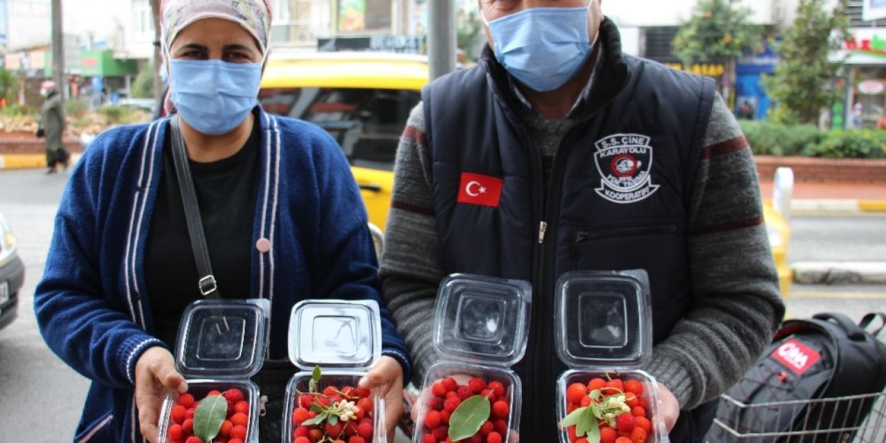 Korona Virüs Dağ Çileğine Olan İlgiyi Arttırdı