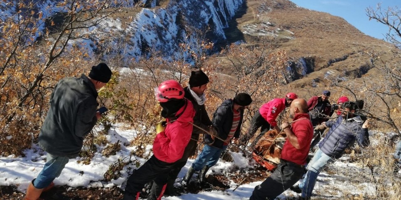 Vadiye Yuvarlanan Gebe İnek 2 Gün Sonra Bulundu, Ekipler 9 Saatte Kurtardı