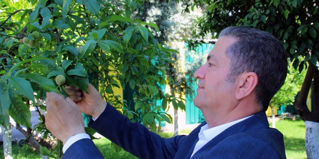 Çiftçiler Çks Belgeleri İle Sokağa Çıkma Yasağından Muaf