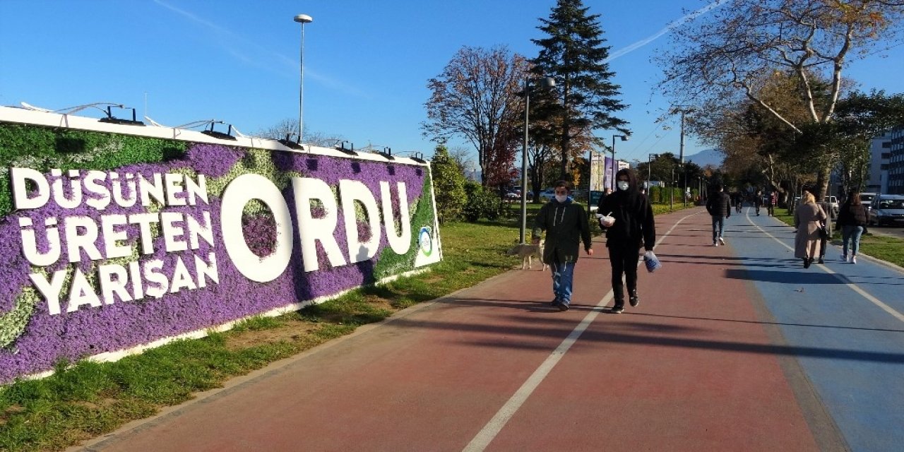 Ordu’da Vakaların En Önemli Artış Nedeni: ‘ev Ziyaretleri’