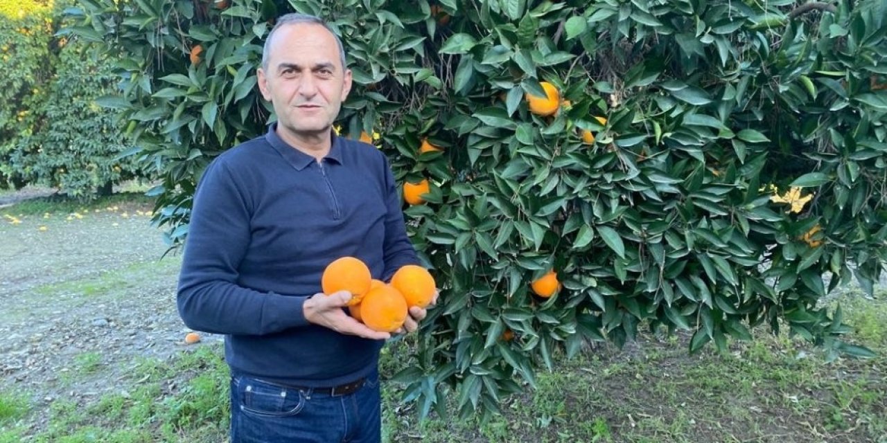 Tigem’in Narenciye Ürünleri Yurt Dışına İhraç Ediliyor