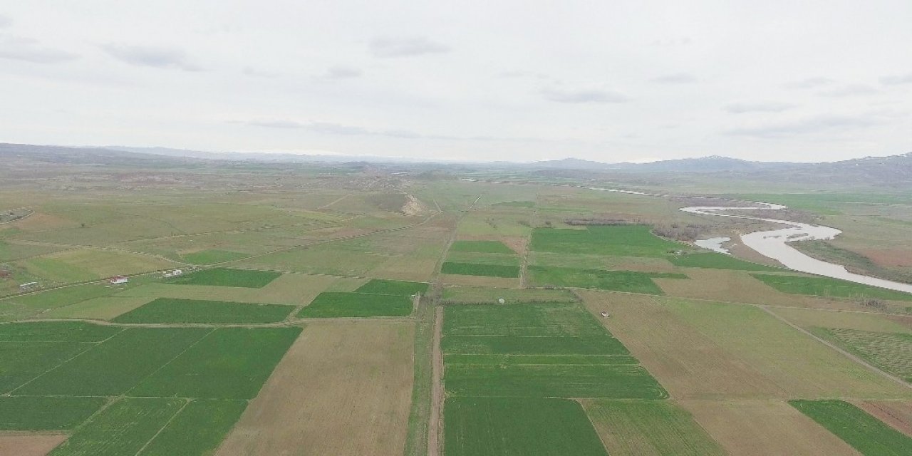 Sivas’ta 1 Yılda 19 Bin 242 Hektar Alan Tapulaştırıldı