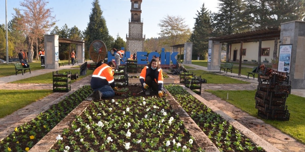 Peyzaj Çalışmalarıyla Bilecik Güzelleştiriyoruz