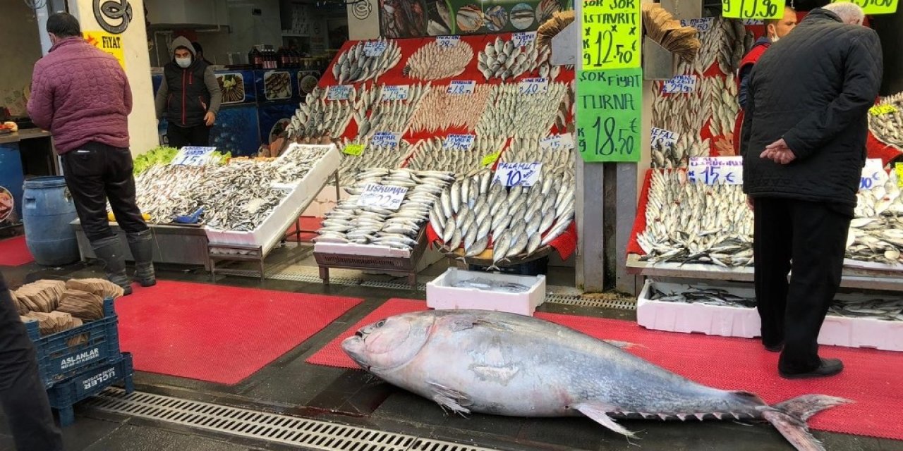 185 Kiloluk Orkinosu Gören Kayserililer Hayrete Düştü