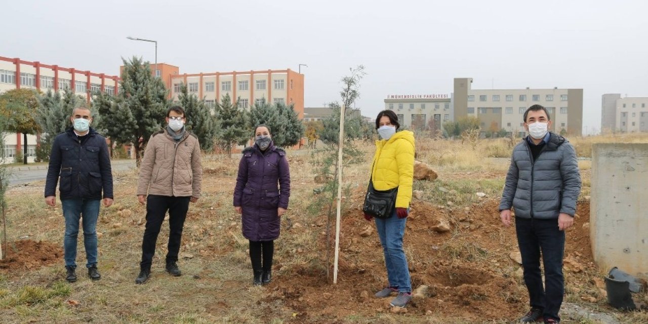 İletişimciler De Fidan Kampanyasına Katıldı