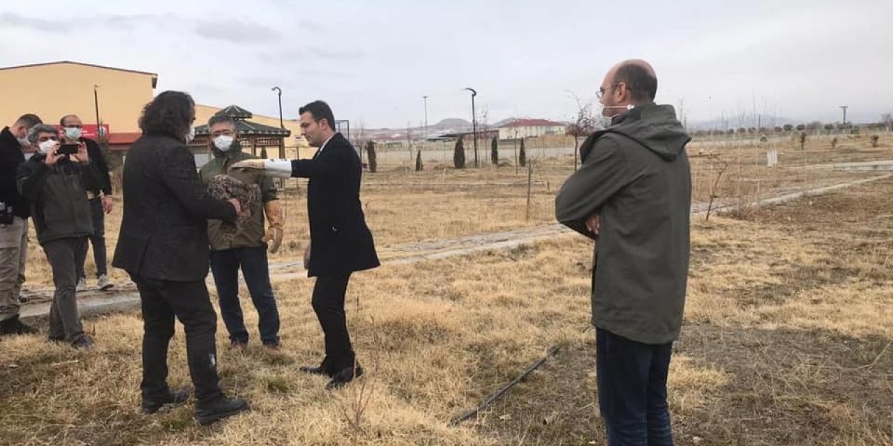 Tedavileri Tamamlanan Kuşlar Özgürlüğüne Kavuştu