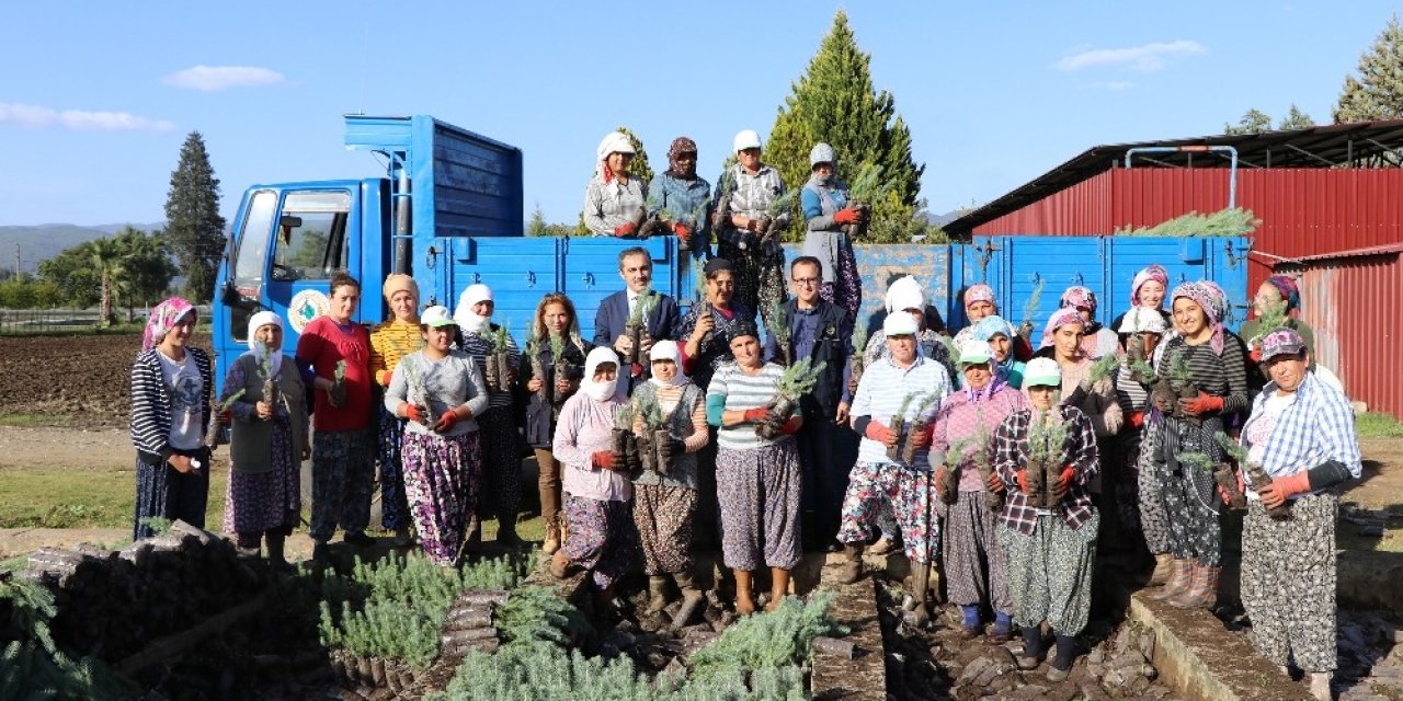 Muğla Obm’de 9,8 Milyon Fidan Üretildi