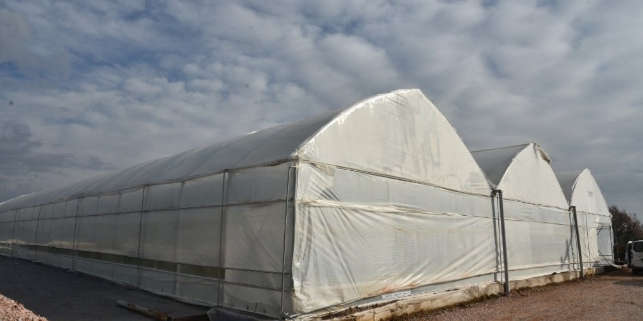 İzmit Parklarında Çocuklar Oyun Oynarken Dalından Meyve Yiyecek