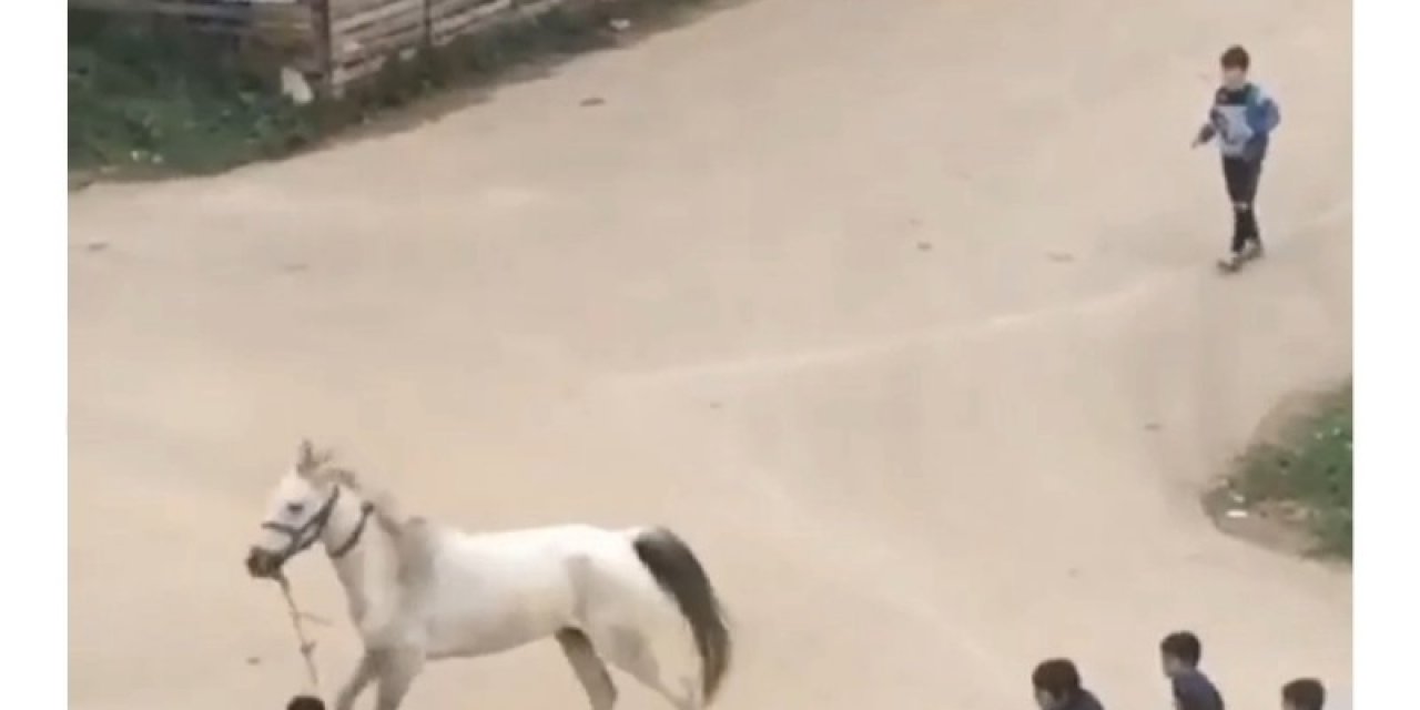 Bursa’da Çocuklar Yaralı Atı Böyle Koşturdu