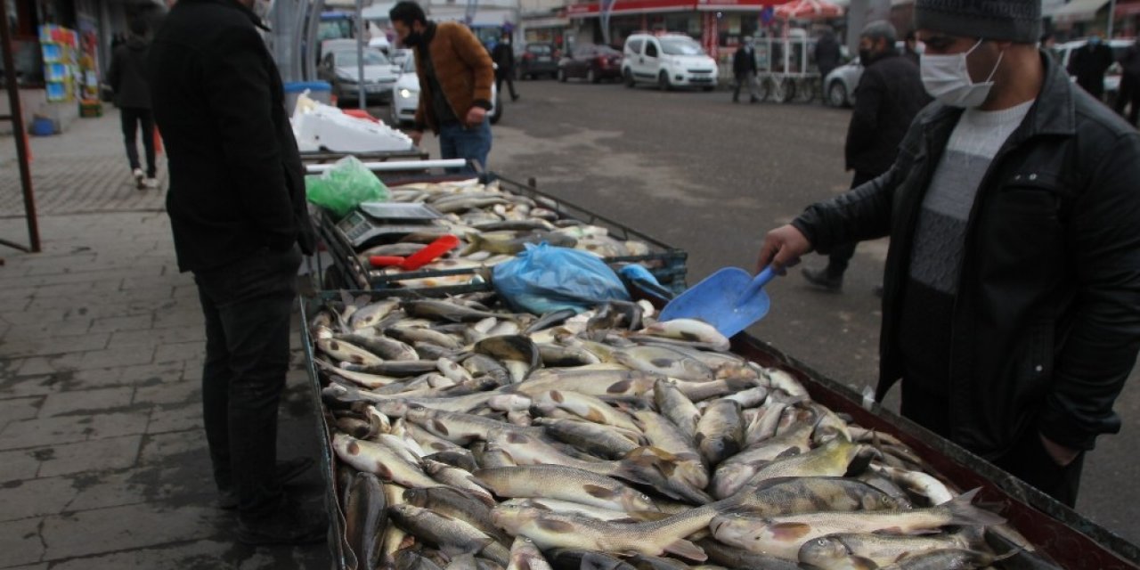 Malazgirt’te Balık Bereketi