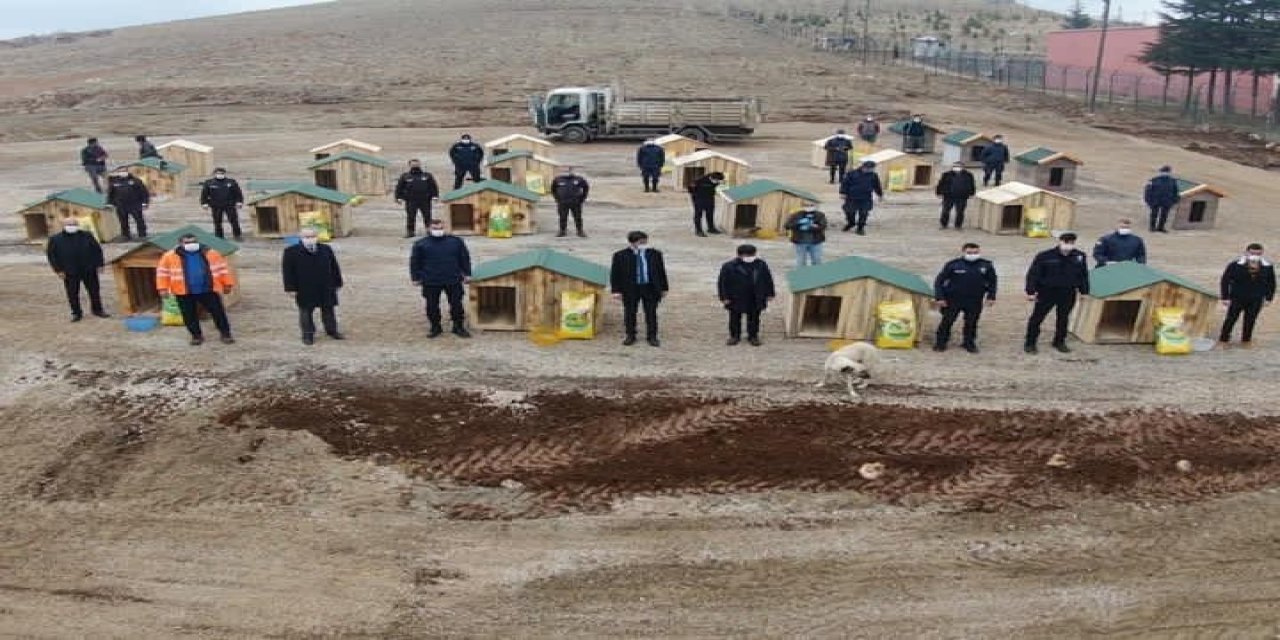 Bu İlçenin Yöneticileri Sokak Hayvanları İçin Seferber Oldu