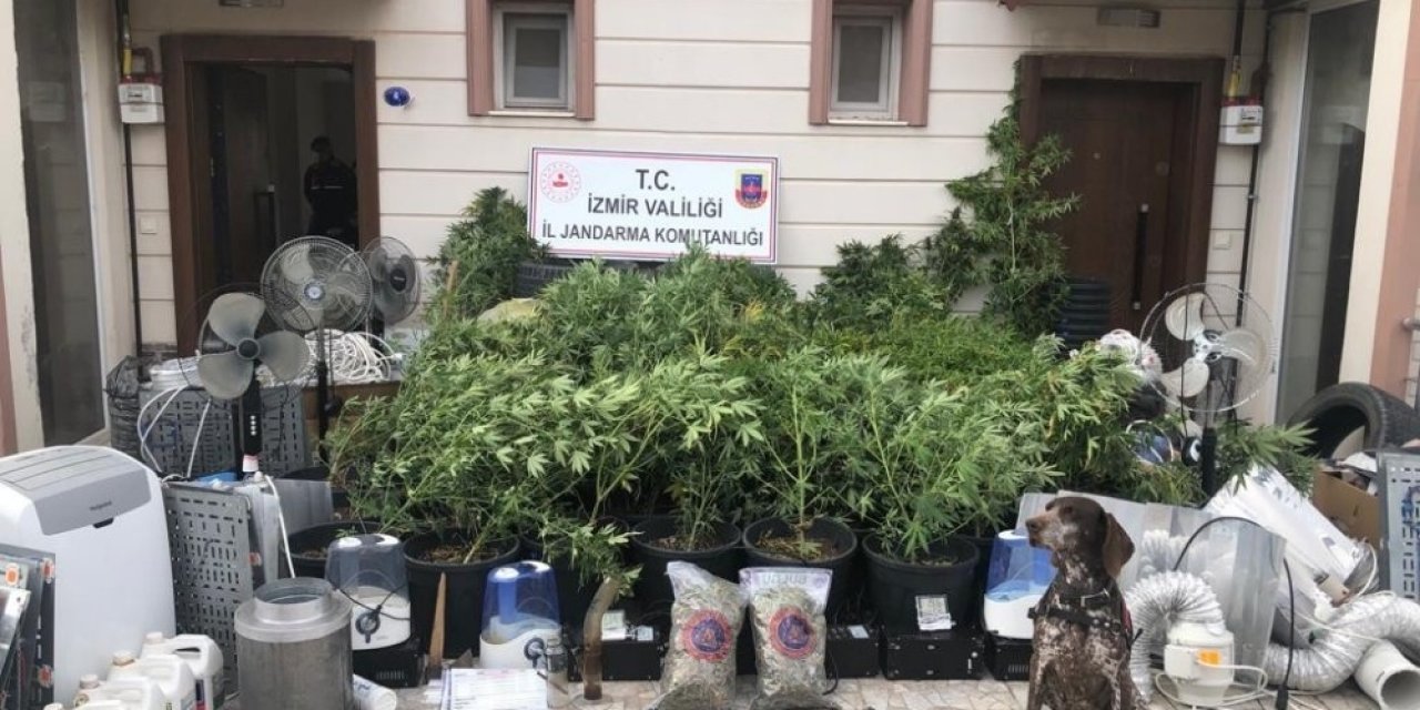 İzmir’de Uyuşturucu Serasına Operasyon: 4 Gözaltı