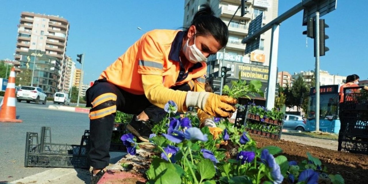 Mersin’de 430 Bin Çiçek Toprakla Buluştu
