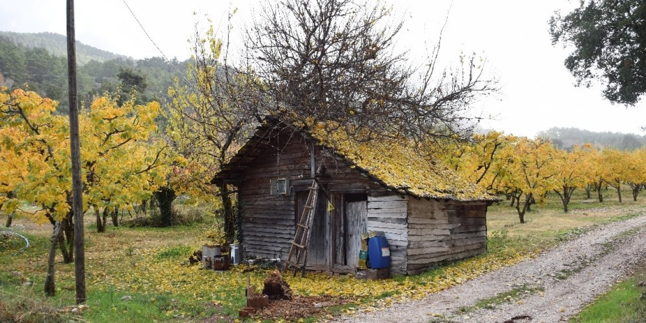 Kısıtlama Günlerinin De Yaylayı Tercih Ettiler