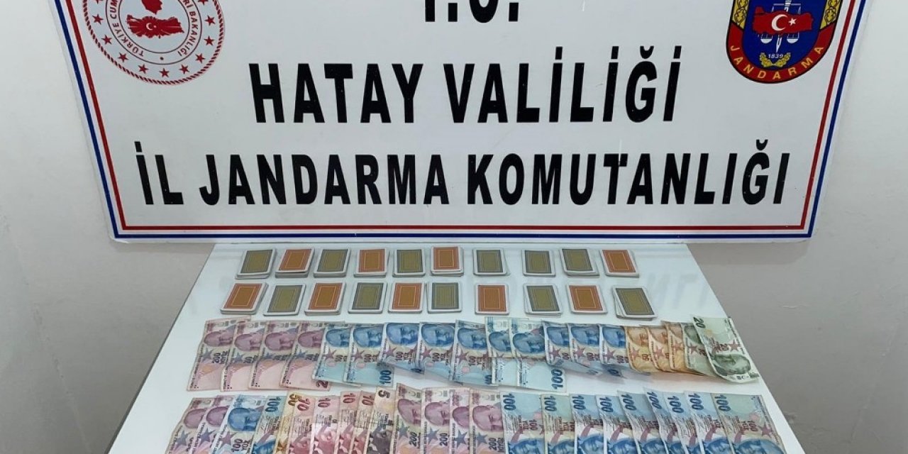 Hatay’da Jandarmadan Kumar Operasyonu