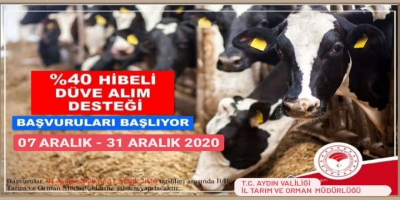 Aydın’da Çiftçilere Düve Alım Desteği Verilecek